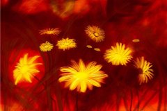 A.Gounaropoulos_20211123_005936-v2